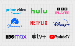 Streaming Platforms: Services like Twitch and YouTube Gaming that host live gameplay broadcasts.